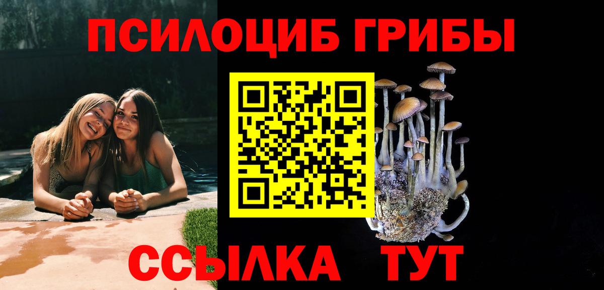Галлюциногенные грибы Cubensis Топки