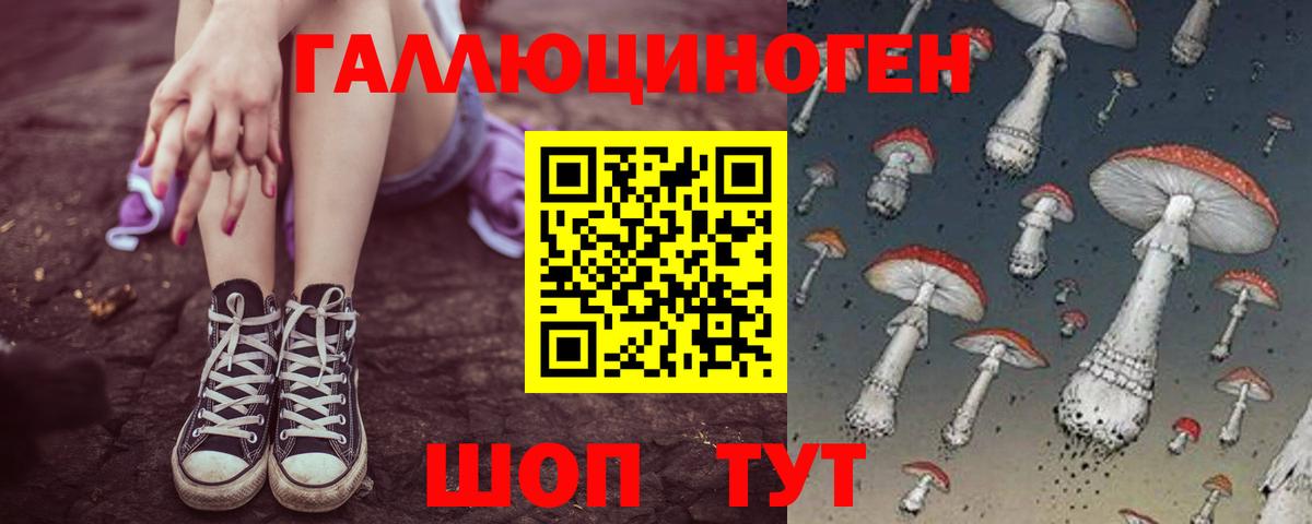 Галлюциногенные грибы GOLDEN TEACHER  Вход с VPN  Псилоцибиновые грибы MAGIC MUSHROOMS  Топки 