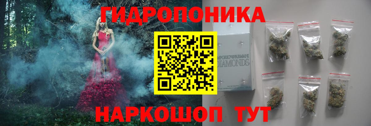 Шишки марихуана конопля  Вход с VPN  Марихуана тримм  Топки 